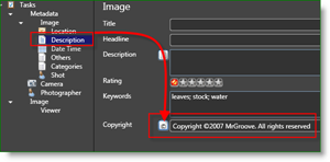 Microsoft Pro Photo Tools Photographer MetaData Auto Copyright :: groovyPost.com