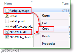 Screenshot: Copy Firefox files for manual Install
