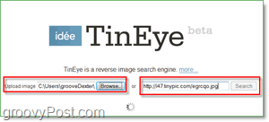 TinEye Screenshot - uploading your image for duplicates and larger versions