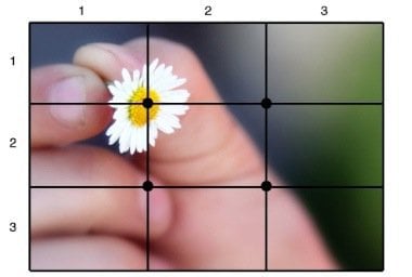 Photography Rule of thirds grid layout flower picture