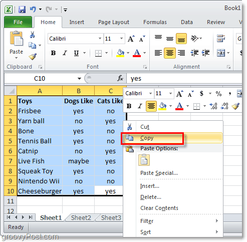 copy an entire excel 2010 datasheet for layout conversion