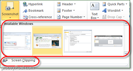 the screenshot tool has two options in office 2010