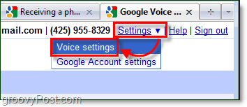 go to google voice settings