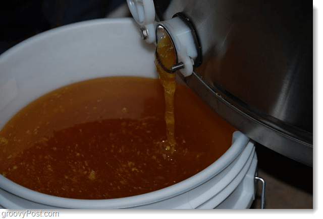 Google Honey in a bucket