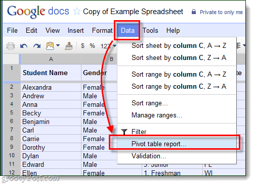 create a pivot table in google docs