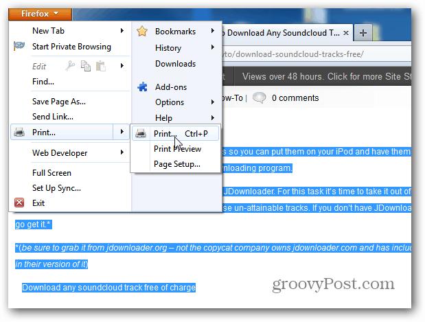 Only Selected Text a Webpage in Windows