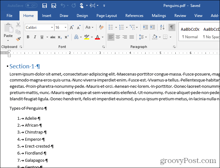 Converted PDF file open in Word