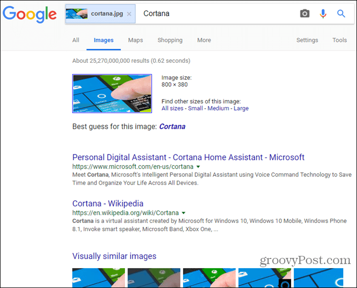 Image search results on Google