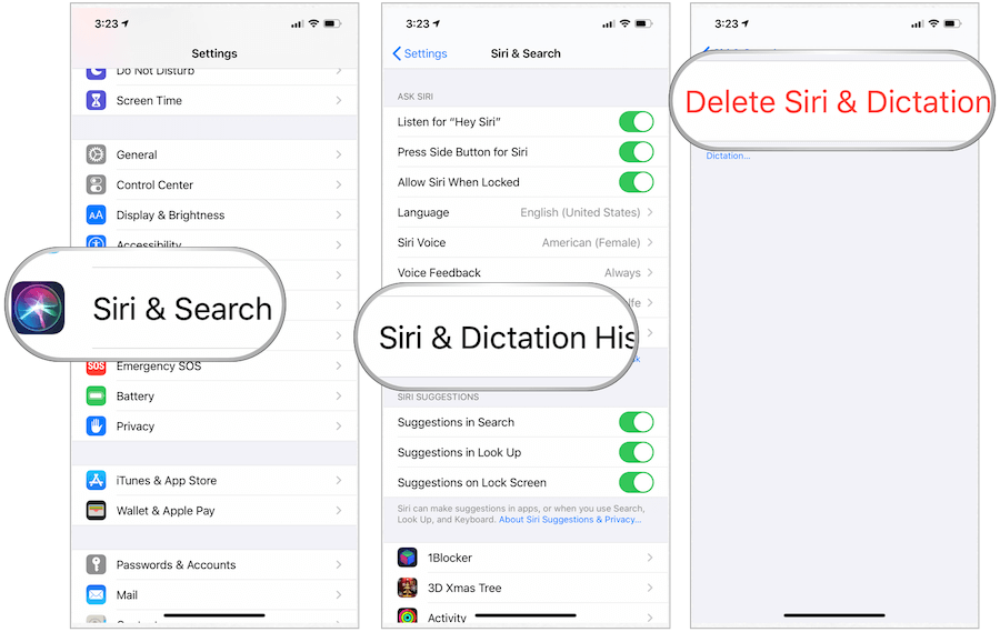 Delete Siri dictation information
