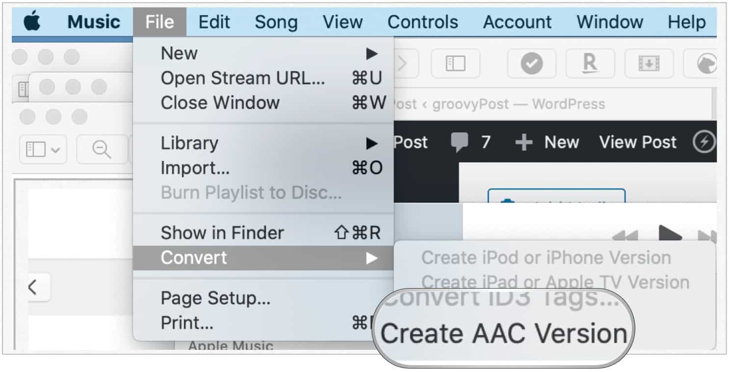 Create AAC version of song