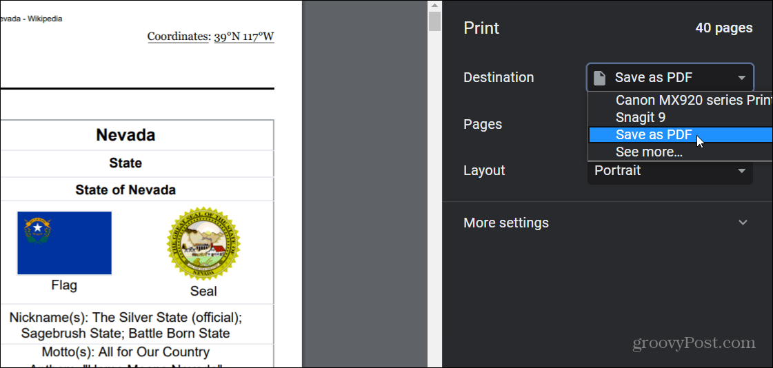 веб-страница в формате PDF Chrome
