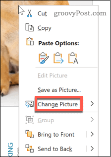 Word Change Picture option