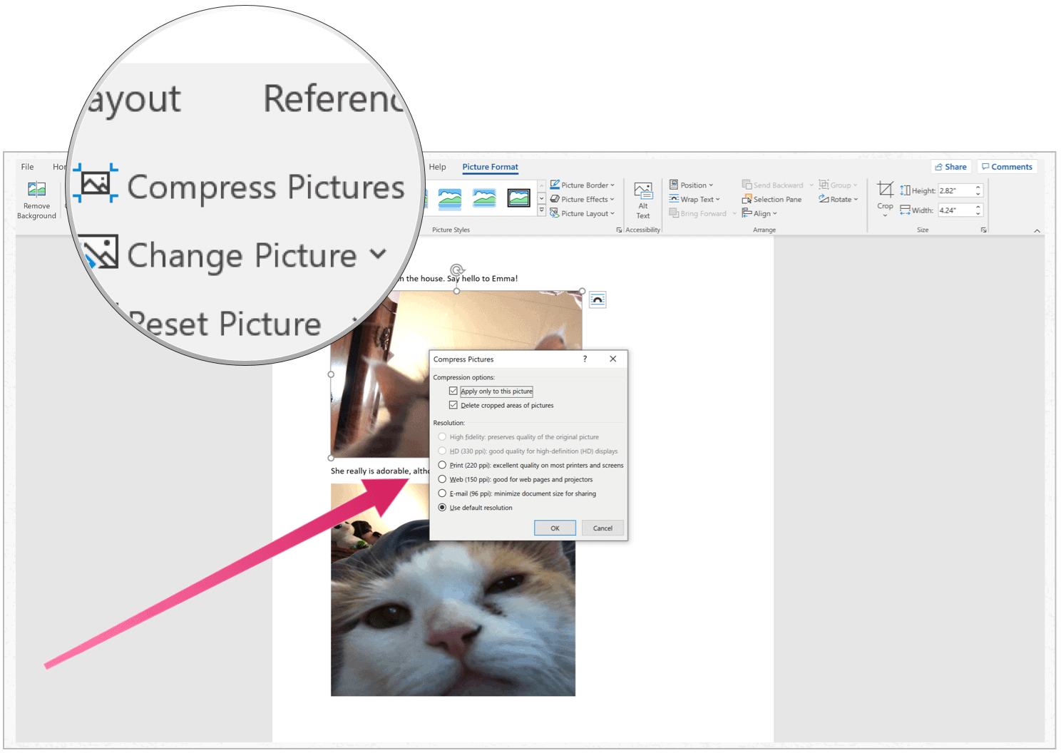 Microsoft Word compress image