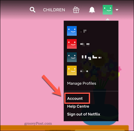 Accessing the Netflix account settings area