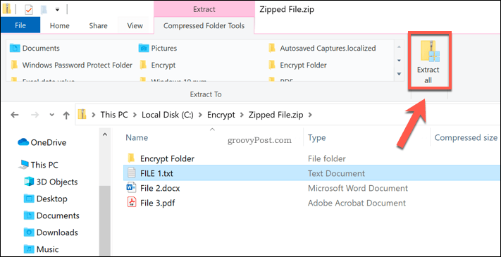 Extract all button in a Windows Zip file