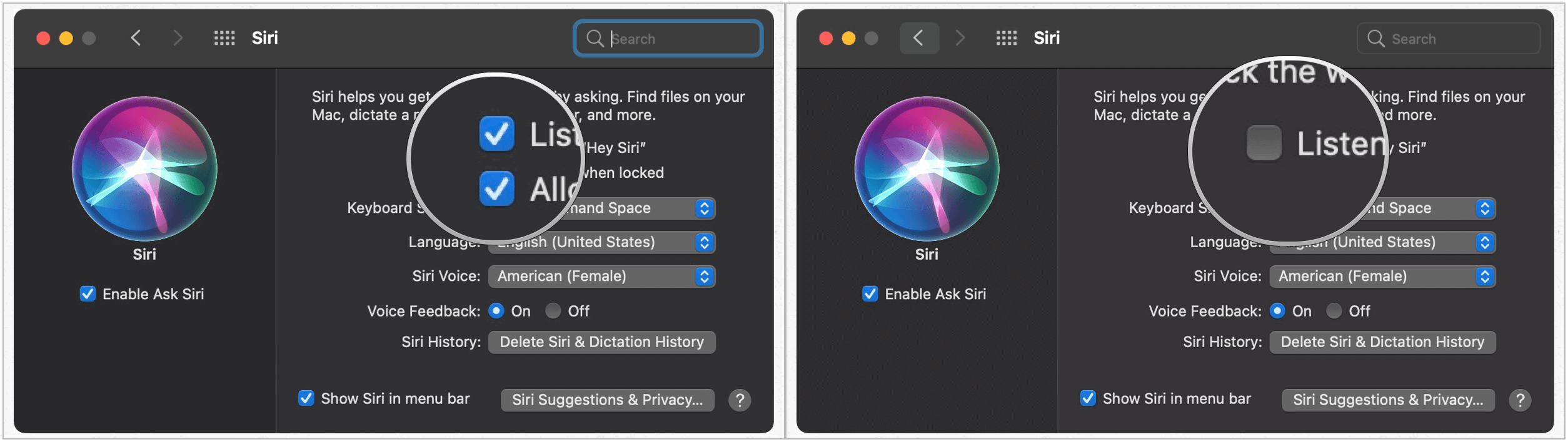 Siri Mac settings
