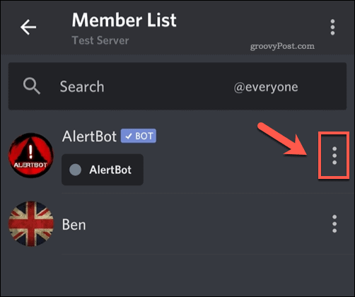 Accessing the options list for a Discord server member
