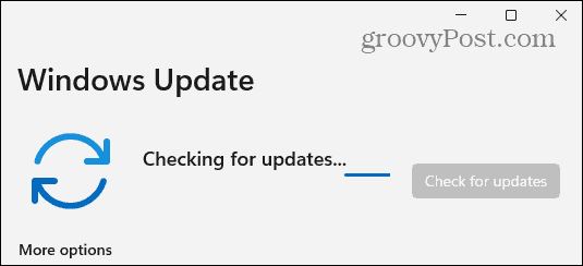 windows-11 checking for updates