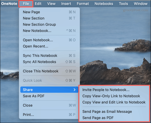 Options de partage dans OneNote sur Mac