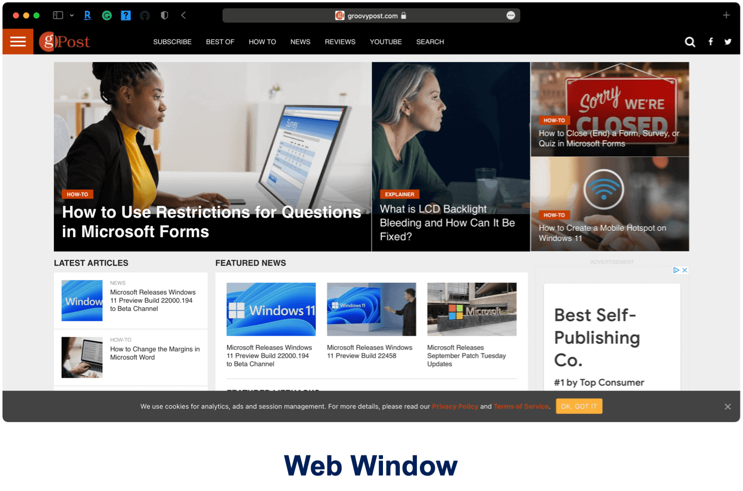 Web window