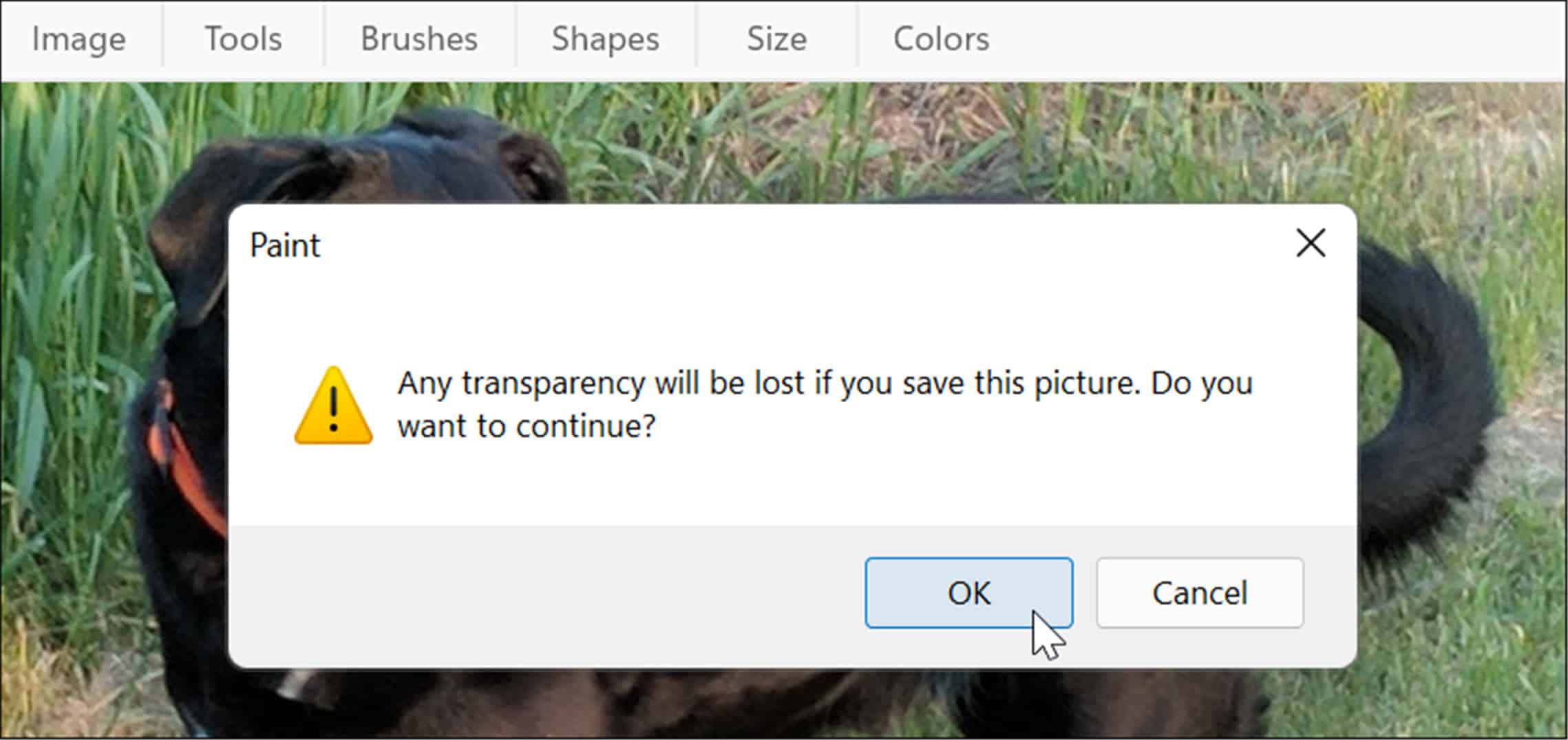 transparency lost dialog message