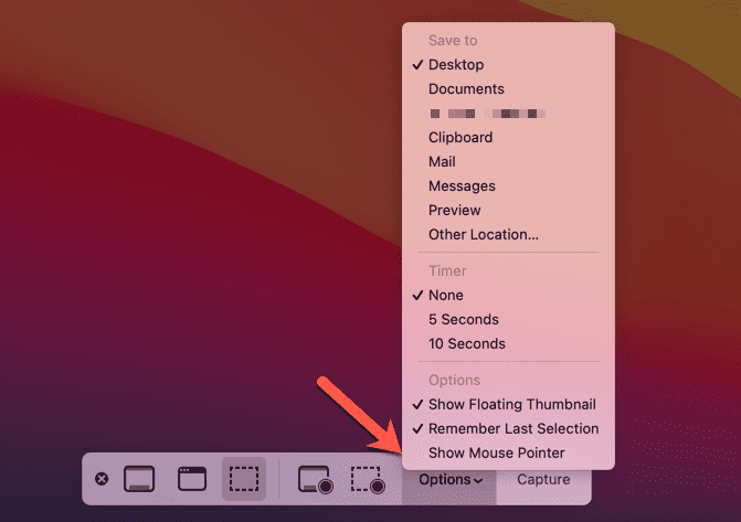 Options de la barre de capture d'écran Mac