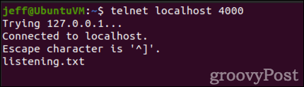 telnet output