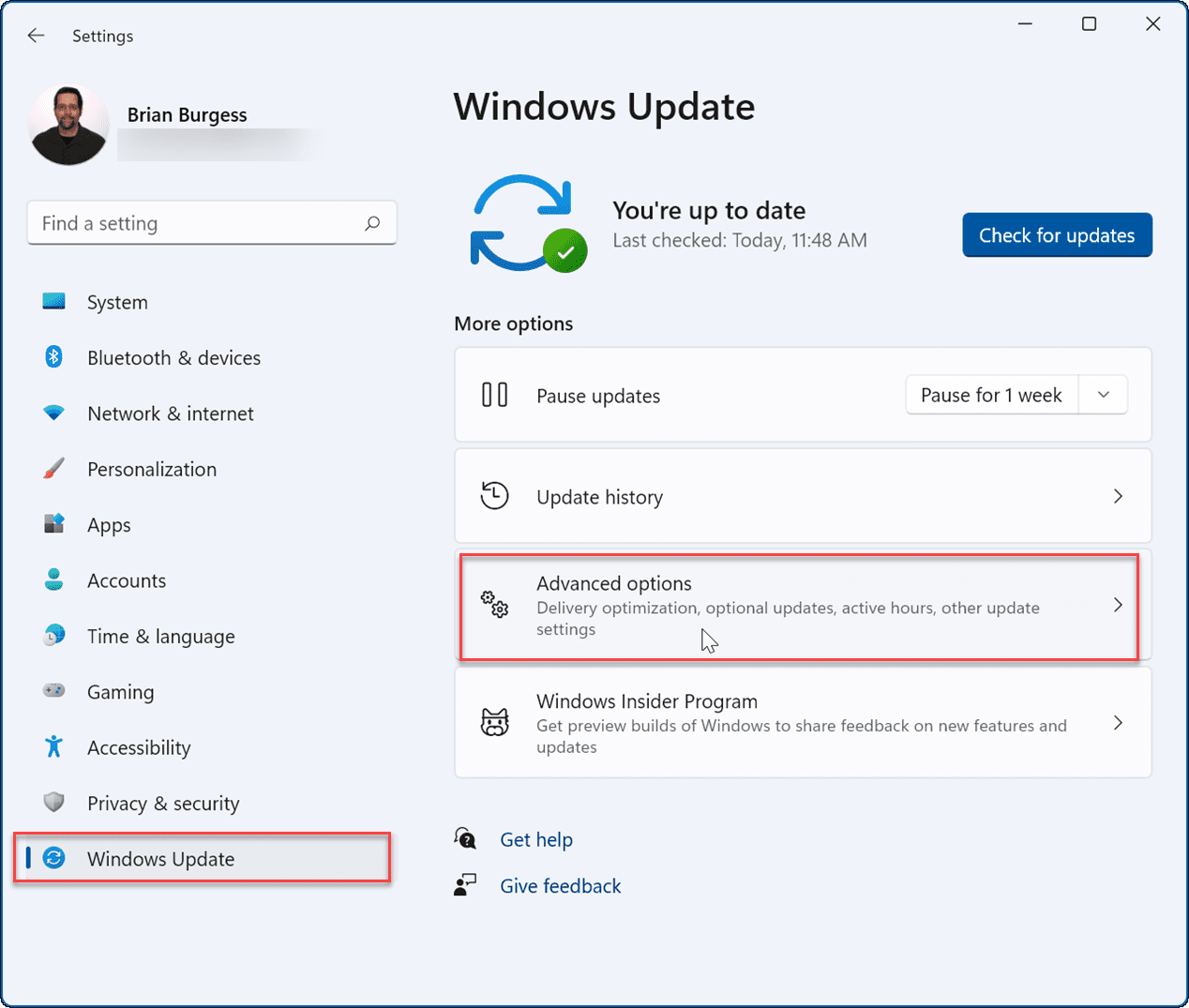 windows update advanced options