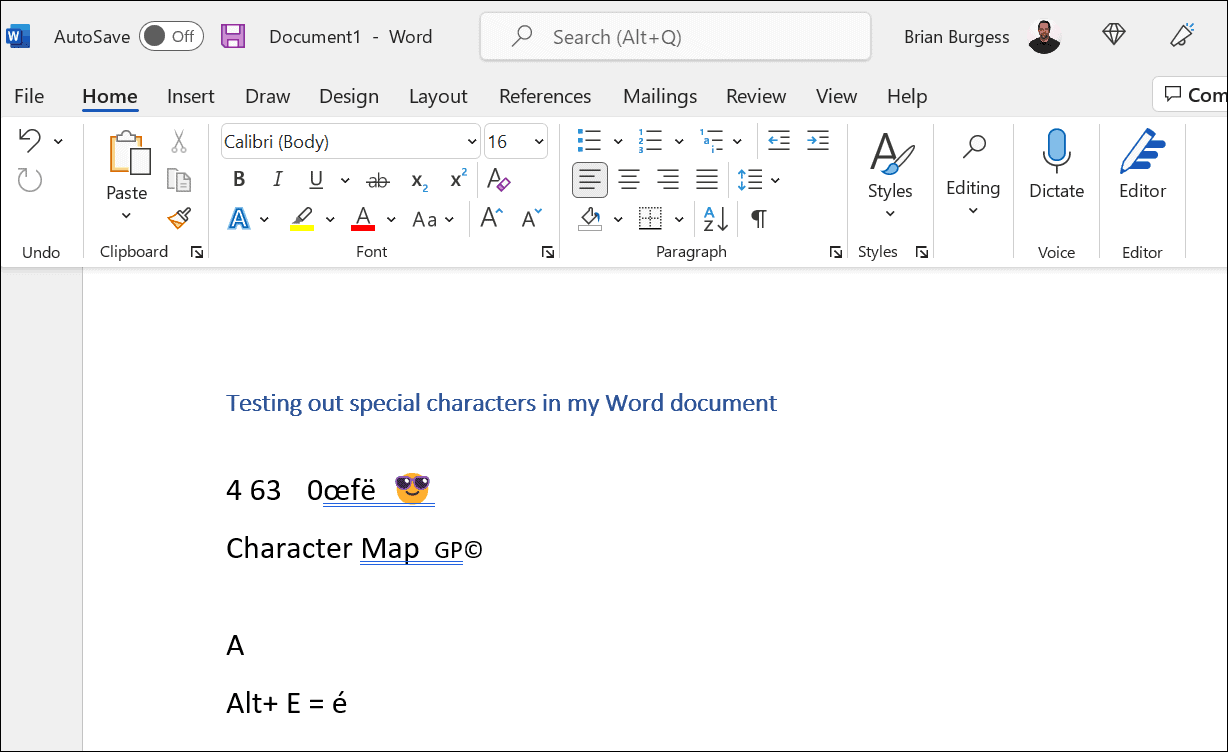 type special characters on windows 11