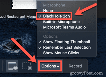 select audio options on mac
