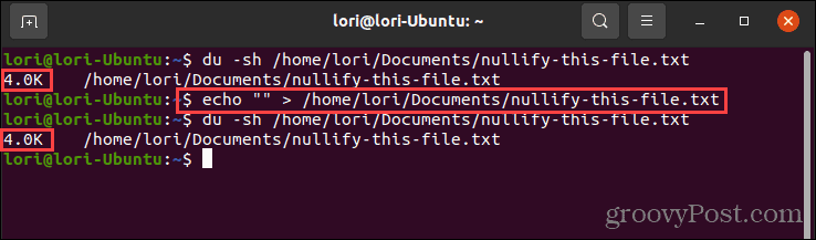 Using the echo command with empty quotes in Linux