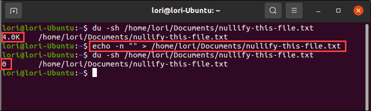 Using the echo command with null output in Linux