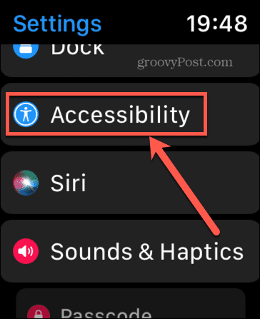 apple watch accessibility