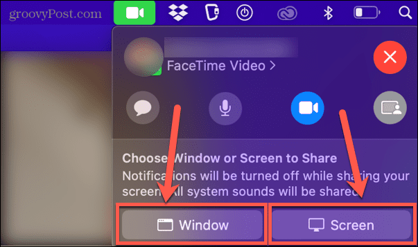 facetime window or screen share