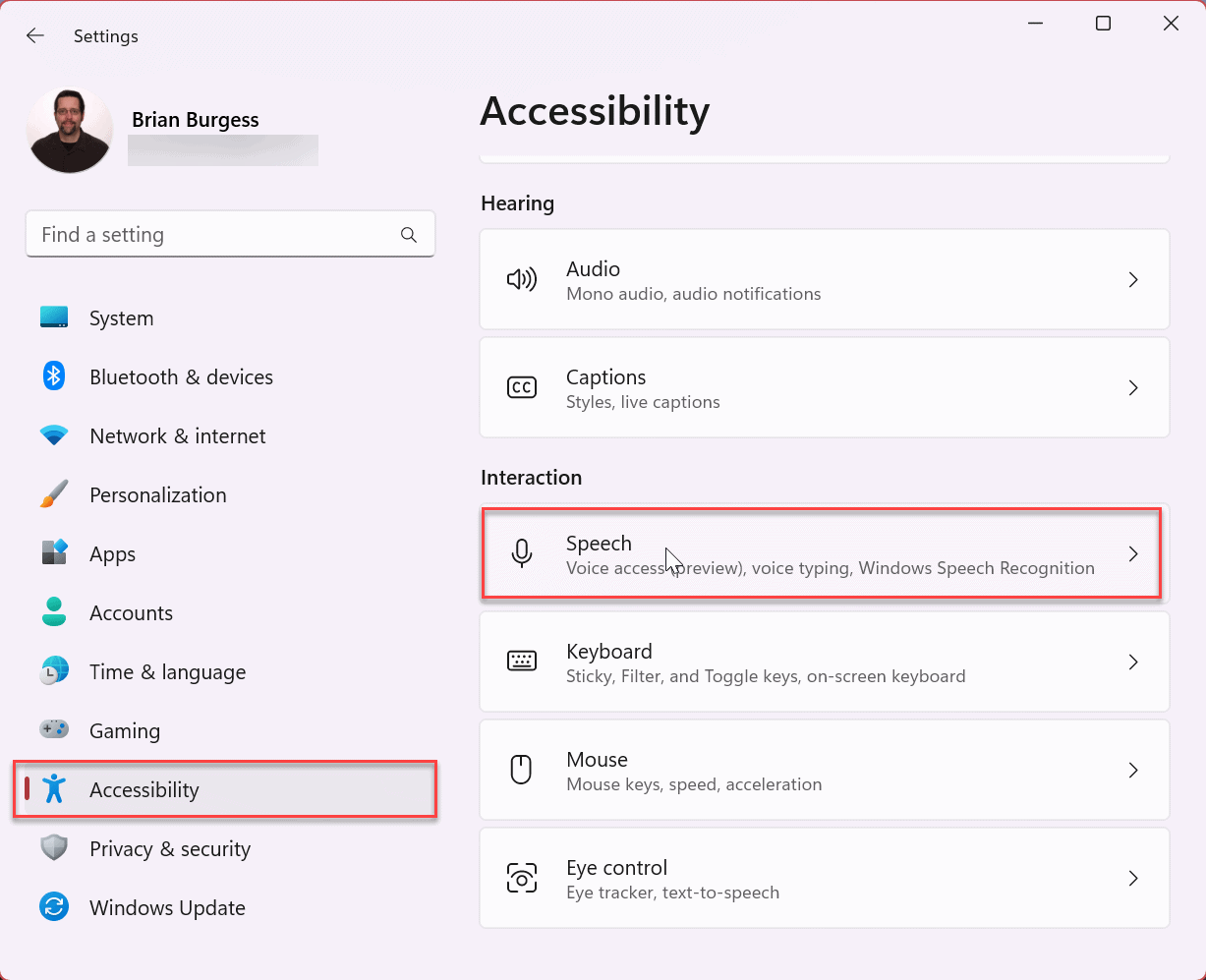 Enable and Use Voice Access on Windows 11