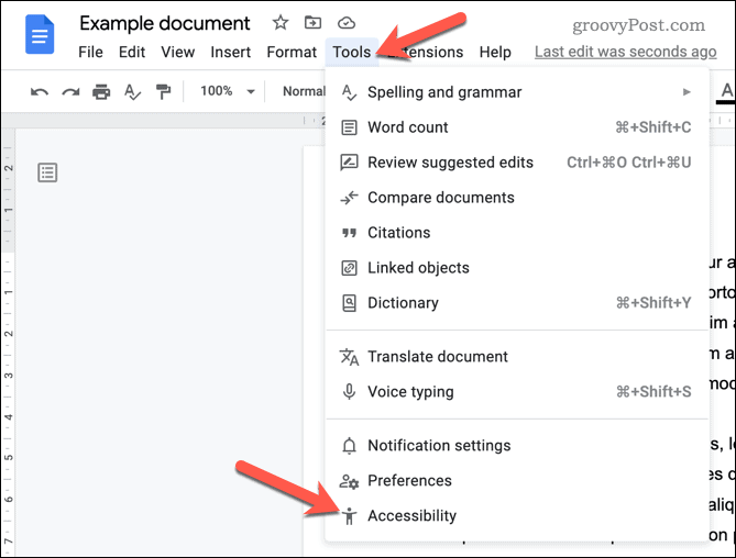 Open the Google Docs accessibilty menu