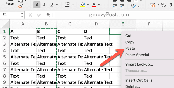 Paste in Excel