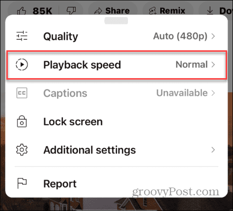 video playback speed options