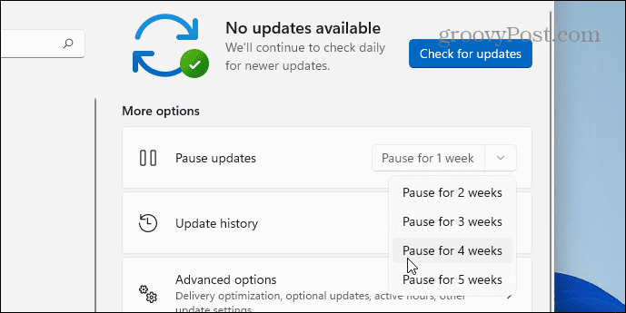 Pause windows 11 Updates